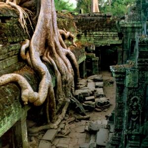 3 Temples Angkor tour