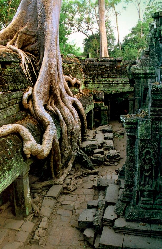 3 Temples Angkor tour